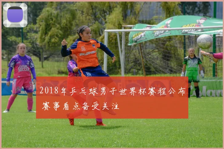 2018年乒乓球男子世界杯赛程公布 赛事看点备受关注