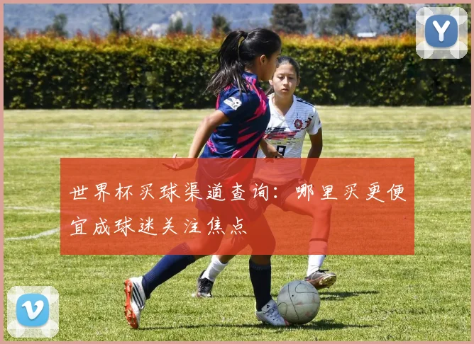 世界杯买球渠道查询:哪里买更便宜成球迷关注焦点