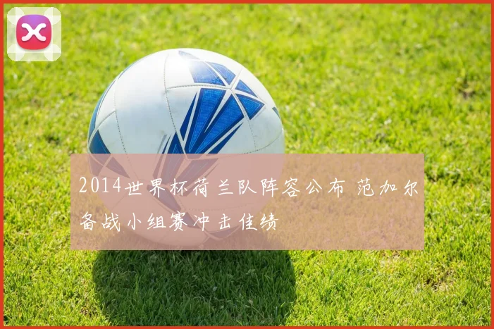 2014世界杯荷兰队阵容公布 范加尔备战小组赛冲击佳绩