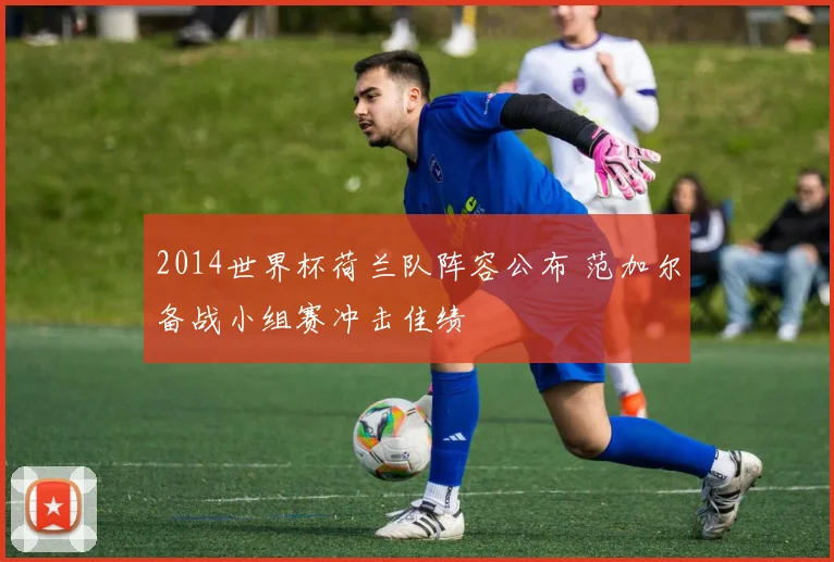 2014世界杯荷兰队阵容公布 范加尔备战小组赛冲击佳绩