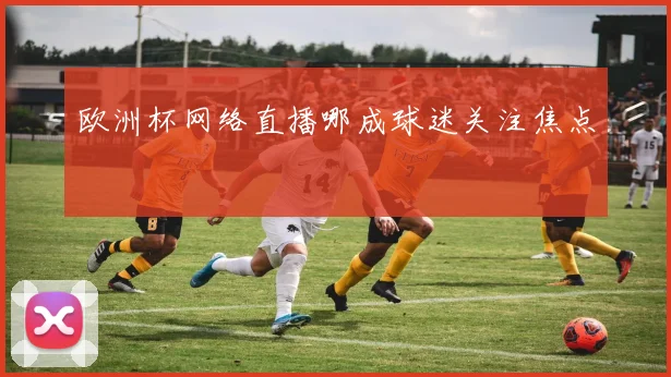 欧洲杯网络直播哪成球迷关注焦点