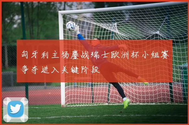匈牙利主场鏖战瑞士欧洲杯小组赛争夺进入关键阶段