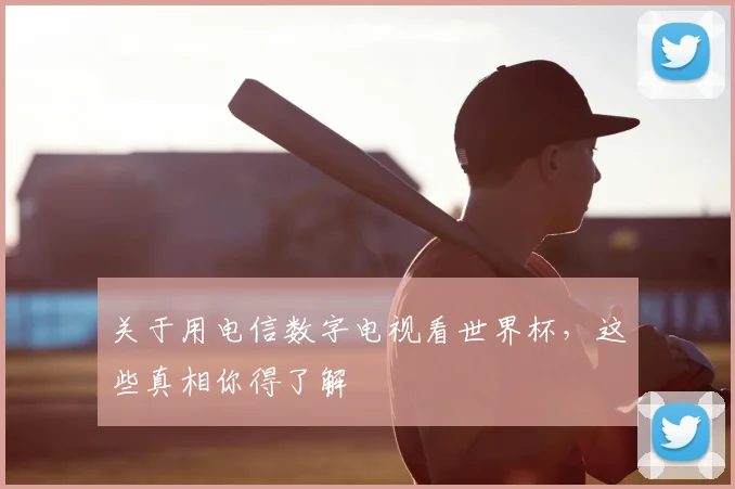 关于用电信数字电视看世界杯，这些真相你得了解