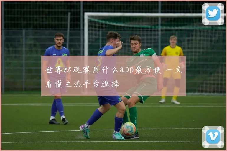 世界杯观赛用什么app最方便 一文看懂主流平台选择