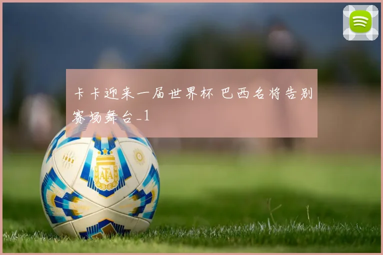 卡卡迎来一届世界杯 巴西名将告别赛场舞台_1