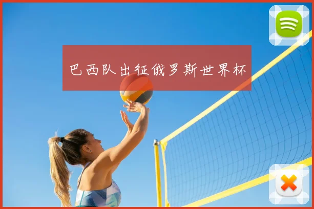 巴西队出征俄罗斯世界杯